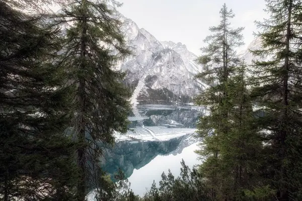 Beispiel-Bild Nr. 12