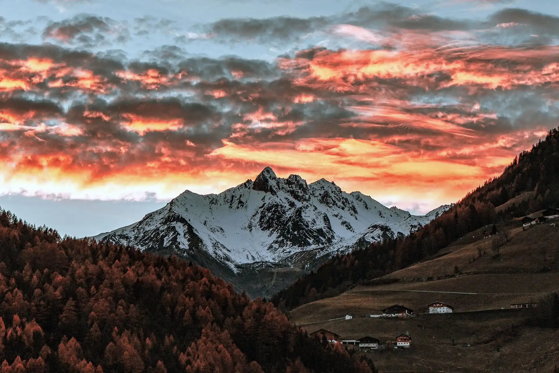 Beispiel-Bild Nr. 10